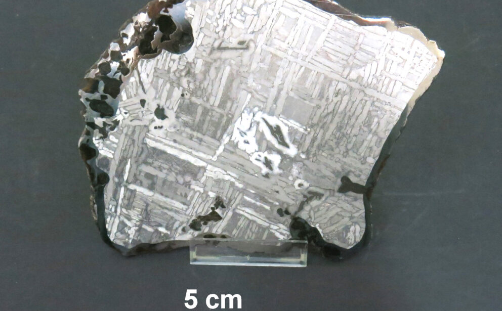 Specimen_of_the_Seymchan_meteorite Specimen of the Seymchan meteorite preserved at the Natural History Museum ‘La Specola,’ University of Florence (ICCD catalog number: 0901145264).