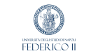 Università di Napoli logo